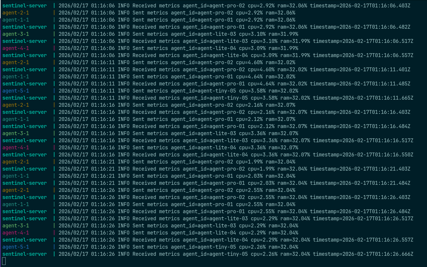 Detailed sentinel CLI terminal output